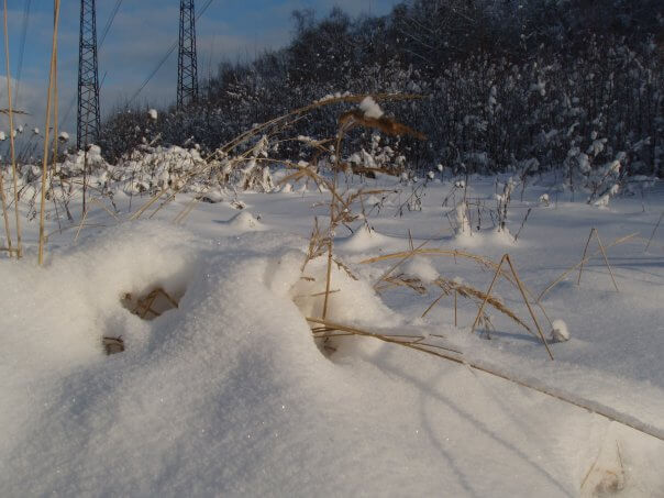 ФОТО: Зима во дворе частного дома, Россия