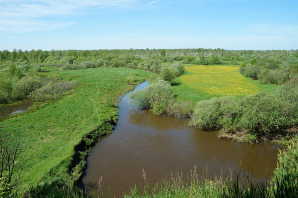Река Самуська (Томская область)