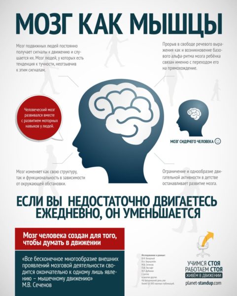 5 интересных фактов о Головном мозге человека