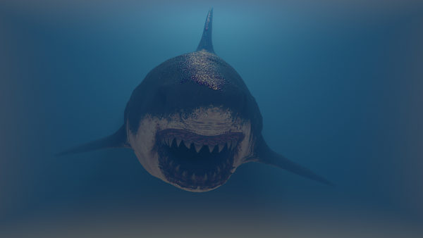 Легендарная черная демоническая акула Мексики вселяет страх!