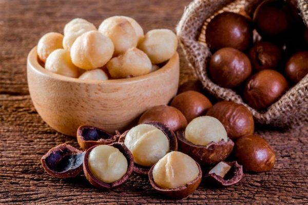 Удивительные свойства орехов, их состав и польза для здоровья