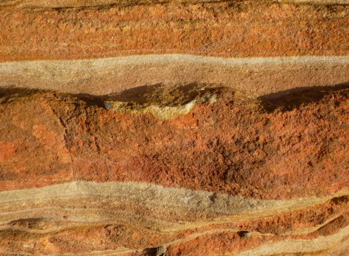 Глинястую почву можно определить на глаз по фото и ее текстуре