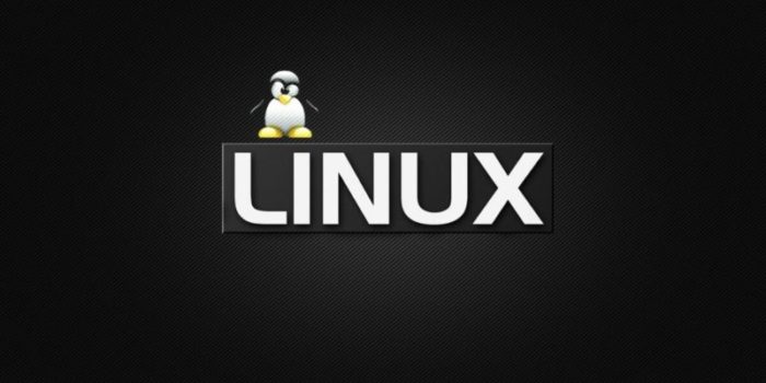 Как окончательно удалить файлы в Linux